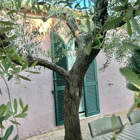 Tenuta De Fanti Bibbona