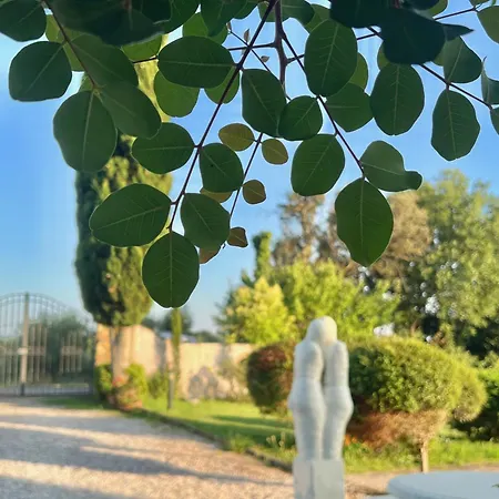 Tenuta De Fanti Farmház Bibbona