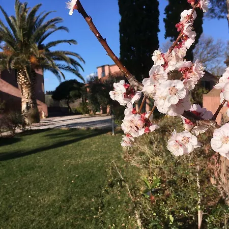 Farm stay Tenuta De Fanti Bibbona