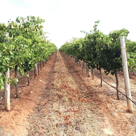 Tenuta De Fanti Bauernhof